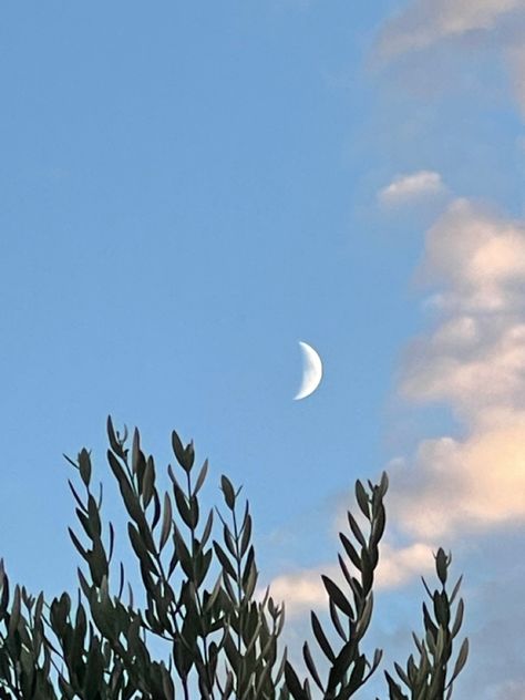 Moon At Daytime, Moon Daytime, Moon In Sky, Soul Branding, Daytime Moon, Crescent Moon Light, Skyline Wallpaper, Golden Sky, Light Blue Sky