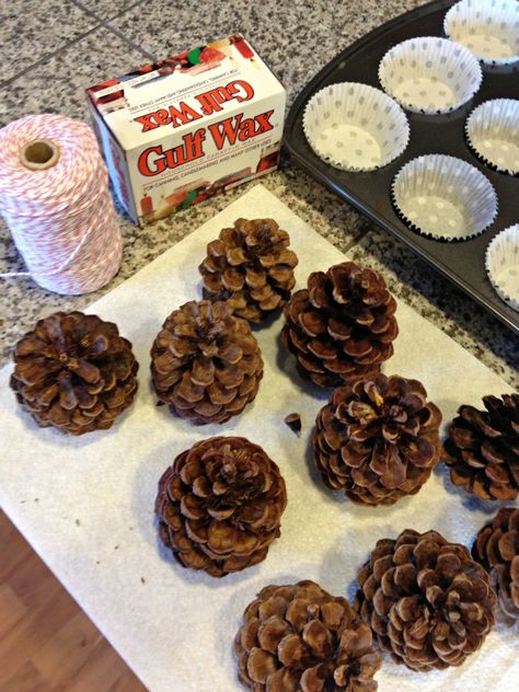 Pinecone fire starters   pine cones paraffin wax cotton string (bakers twine is cotton) cupcake liners muffin tin double boiler Pine Cone Fire Starters, Fairy Rocks, Homemade Fire Starters, Pinecone Fire Starters, Camping Fire Starters, Fire Starters Diy, Winter Fire, Camping Fire, Diy Pinecone