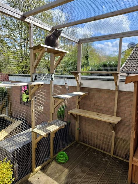 Catios Ideas For Cats, Cat Herder, Cat Proof Balcony, Outdoor Cat Tree, Custom Cat Trees, Cat Heaven, Cat Patio, Cat Tree House, Outdoor Cat Enclosure