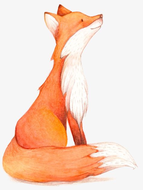 Fox Head Drawing, Red Fox Drawing, Fox Drawing Tutorial, Fox Drawing Sketches, Fox Drawing Easy, Fox Drawings, Cute Fox Drawing, Fox Drawing, Fox Painting