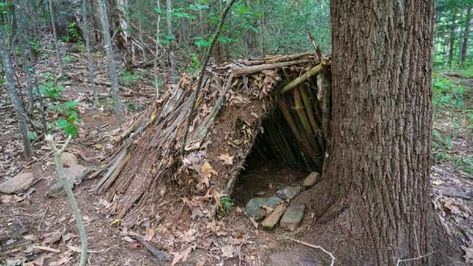 Shelters In The Woods, Lean To Shelter, Long Term Survival, Forest Hut, Wilderness Survival Shelter, Survival Skills Emergency Preparedness, Seminole Indians, Hoping For The Best, Bushcraft Shelter