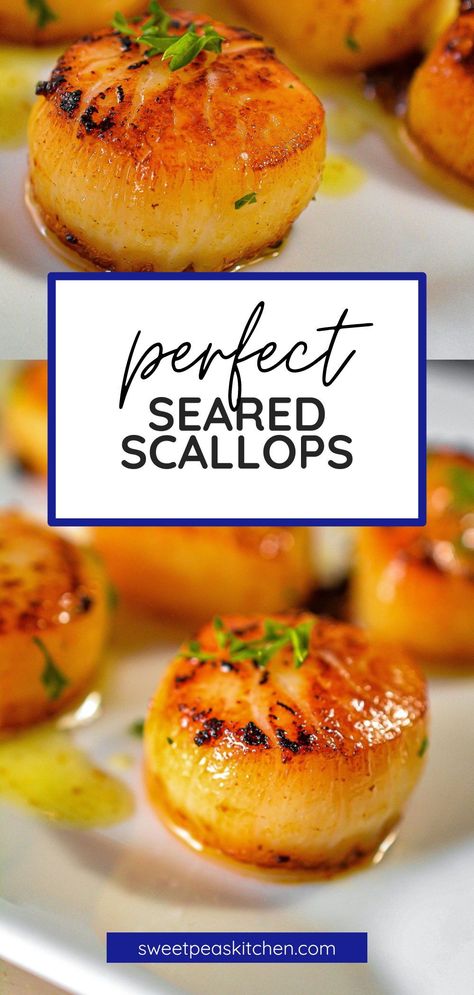 Seared scallops are a delicacy and are mostly cooked on a stovetop in a frying pan. How To Fry Scallops, Pan Fried Scallops Recipes, How To Cook Scallops On The Stove, Seared Scallops Recipe, Pan Fried Scallops, Frozen Scallops, Fried Scallops, Scallops Recipe, Pan Seared Scallops