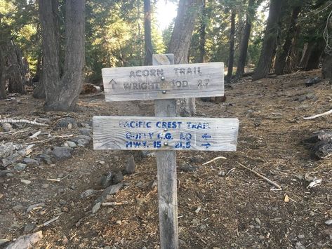 The Acorn Trail runs from Wrightwood up to the Pacific Crest Trail. Near Wrightwood, California. Wrightwood California, Cleetwood Cove Trail, Hiking The Pacific Crest Trail, San Gabriel Mountains, Oak Forest, Pacific Crest Trail, Trail Running, Virtual Tour, National Forest