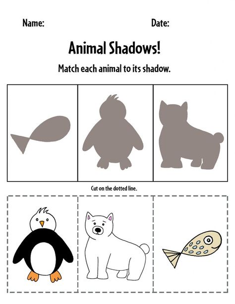 Artic Animals Worksheets Preschool, Polar Animals Preschool Activities Free, Polar Animals Preschool Free Printables, Winter Animal Worksheets, Polar Bear Worksheets Preschool, Polar Animals Activities For Toddlers, Arctic Animals Preschool Activities Free Printables, Arctic Animals Toddler Activities, Arctic Animal Activities For Toddlers