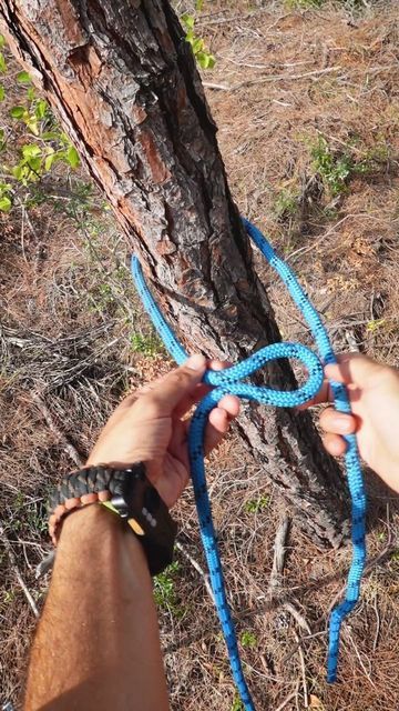 Hammock Knots, Knot Tying, Rope Knots, Two Trees, Smart Solutions, Tie Knots, Winter Is Coming, Try It, Hammock