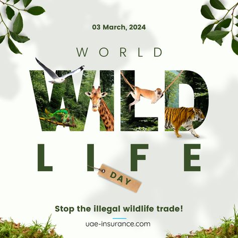 #uaeinsurance #uae #wildLife #animals #animallove #earth #Life Bee Conservation, World Wildlife Day, Animal Day, Wildlife Protection, Wildlife Day, Gorilla Trekking, Life Day, Marketing Business Card, Incredible Creatures