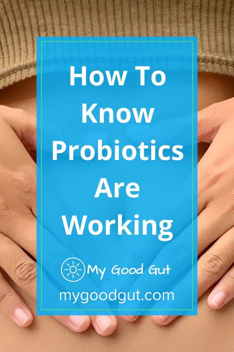 Natural Probiotics For Women, Probiotics Vs Prebiotics, Best Probiotics For Gut Health, Probiotics For Women Gut Bacteria, Prebiotics And Probiotics Benefits Of, Irritable Bowel Disease, Prebiotics And Probiotics Supplement, Stop Sugar Cravings, Women’s Probiotic