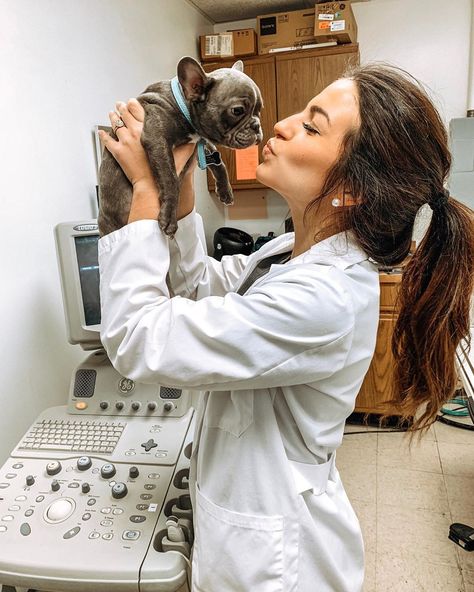 Vet Nurse Aesthetic, Animal Science Major, Vet Pictures, Veterinarian Graduation, Vet School Motivation, Future Veterinarian, Vet Tech School, Vet Life, Large Animal Vet