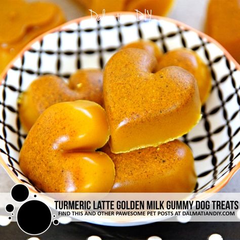 Turmeric Latte Golden Milk, Healthy Gummies, Dog Treat Recipe, Gummies Recipe, Bear Recipes, Dog Biscuit, Dog Biscuit Recipes, Doggie Treats, Peanut Butter Dog Treats