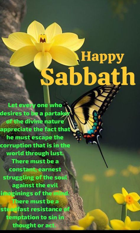 Happy Sabbath Greetings, Happy Sabbath Blessings Kjv, Sabbath Blessings, Happy Sabbath Quotes Inspiration, Sabbath Blessings Scripture, Happy Sabbath Blessings, Bon Sabbat Quote, Sabbath Greetings, Happy Sabbath Quotes Beautiful