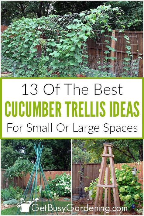 You may know the benefits of growing cucumbers on a trellis, but how do you know which is the best kind to use? There are tons of options for different types of cucumber trellis, and each has its advantages. In this guide on the 13 best DIY cucumber trellis ideas, you’ll be able to read through each option and understand which would work best for your space and why. Discover whether you need an a-frame, a teepee, an obelisk, or an arch, and get building your DIY support for your vines this year. Outdoor Trellis Ideas, Cucumber Trellis Diy, Climbing Plants Trellis, Vertical Trellis, Teepee Trellis, Vegetable Trellis, Garden Trellis Ideas, Cucumber Gardening, Small Trellis