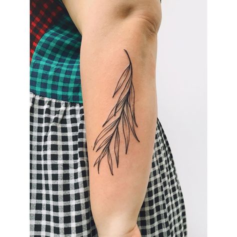 Willow leaf tattoo on the left forearm Weeping Willow Leaves Tattoo, Willow Tree Leaf Tattoo, Leaves Around Knee Tattoo, Willow Leaves Tattoo, Ancestry Tattoo, Willow Leaf Tattoo, Willow Branch Tattoo, Graduation Tattoo, Willow Tattoo