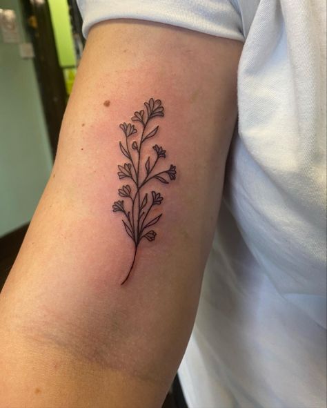 Lakespur Flower, Lakespur Flower Tattoo, Larkspur Flower Tattoo, Larkspur Flower Tattoos, Larkspur Tattoo, Larkspur Flower, Bottle Tattoo, Friendship Tattoos, Classy Lady