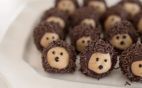 Buckeye Balls Recipe, Buckeye Recipe Easy, Cute Thanksgiving Desserts, Buckeye Recipe, Woodland Baby Shower Food, Chocolate Peanut Butter Balls, Cream Cheese Fruit Dip, Buckeyes Recipe, Thanksgiving Desserts Kids