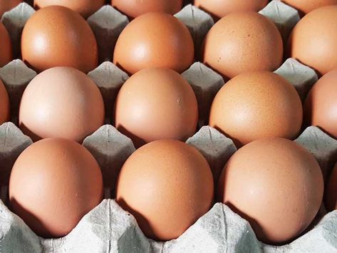 5 Simple Ways to Tell If an Egg Is Good or Bad Sink Or Float, Food Prep Storage, Eggs For Sale, Bad Eggs, Tea Health Benefits, Clean Plates, Storage Tips, Food Articles, Egg Carton