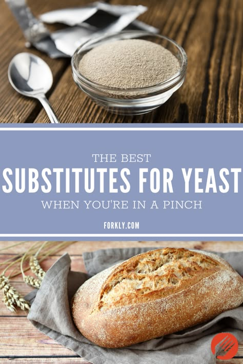 Bread Recipe No Yeast Easy, Yeast Replacement For Bread, Things To Make With Flour No Yeast, How To Make Yeast For Bread, How To Make Homemade Bread Without Yeast, Bread Without Yeast Recipe Simple, Homemade Bread Recipes Without Yeast, No Yeast Homemade Bread, No Yeast French Bread