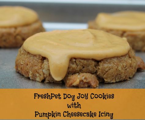 FreshPet Dog Joy Cookies with Pumpkin Cheesecake Icing Cheesecake Icing, Pumpkin Icing, Cookies With Pumpkin, Quinoa Oats, Cook Dog Food, Pumpkin Pie Mix, Gourmet Dog Treats, Puppy Treats, Healthy Dog Treat Recipes