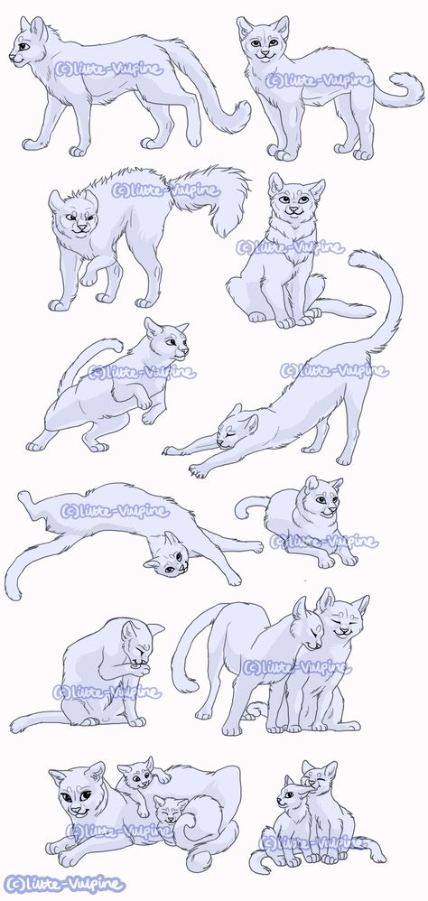 12x Cat pose pack by LittleVulpine on DeviantArt Feral Drawing Poses, Cat Side Profile Drawing Reference, Warrior Cats Poses, Cat Pose Reference Photos, Cat Poses Reference, Cat Stretching Drawing, Cat Reference Poses, Warrior Cats Drawing Base, Animal Poses Reference