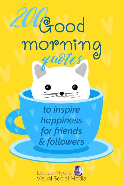 cute white cat in bright blue teacup on yellow background has text saying 200 good morning quotes to inspire happiness for friends and followers. Motivational Morning Quotes, Good Morning Quotes Inspirational, Morning Quotes Inspirational, Best Good Morning Quotes, Morning Coffee Funny, Great Day Quotes, Coffee Quotes Morning, Funny Good Morning Images, Positive Morning Quotes