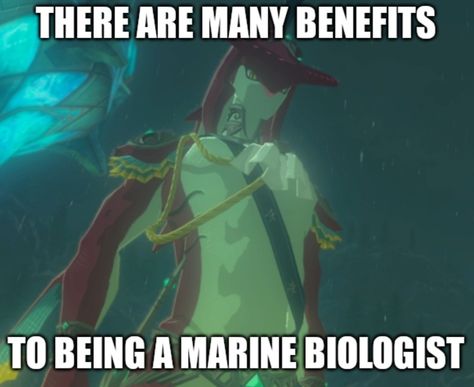 zooweemama Fish Meme, Biology Memes, Weird Aesthetic, Bottom Of The Ocean, Marine Biologist, Leo Valdez, Marine Biology, Funny Me, Legend Of Zelda