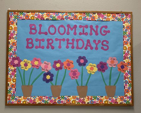 Blooming Birthdays April Birthday Bulletin Boards, Flower Birthday Board Classroom, Garden Birthday Board Classroom, Blooming Birthday Bulletin Board, Butterfly Birthday Bulletin Board Ideas, Spring Birthday Board Ideas, April Bulletin Board Ideas For Work, May Birthday Bulletin Board Ideas, Spring Birthday Bulletin Boards