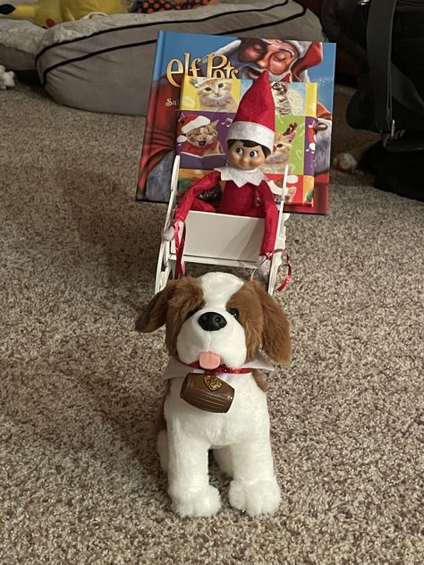 Elf On The Shelf Saint Bernard Ideas, Elf On The Shelf Pet Ideas St Bernard, Elf On The Shelf Pet Ideas, At Bernard, Saint Bernards, Elf Activities, Elf Ideas, St Bernard, Saint Bernard