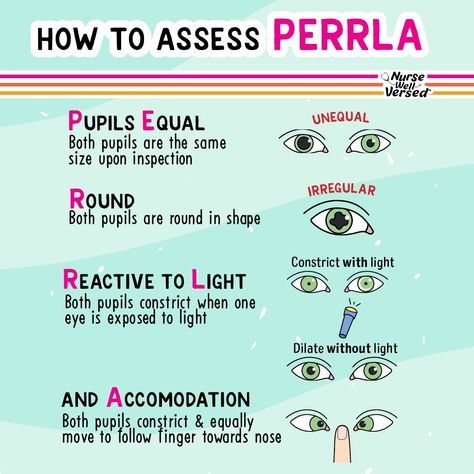 👁️ PERRLA Explained 🔍 Pupils Equal: Both pupils should be the same size. 🔍 Round: Pupils should be perfectly round. 🔍 Reactive to Light: Pupils constrict when exposed to light and dilate in the dark. 🔍 Accommodation: Pupils constrict when focusing on a near object and dilate when looking at a distant object. This quick check can reveal a lot about a patient's brain function, and any abnormalities can be a sign of neurological distress. Eye Assessment Nursing, Emt Medical Terminology, Patient Assessment Emt, Perrla Nursing, Neurological Assessment, Nursing School Studying Cheat Sheets, Emt Study, Medical Assistant Student, Paramedic School