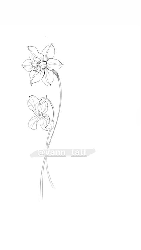 March Bouquet Tattoo, Single Daffodil Tattoo, March Month Flower, Dafodill Flowers Tattoo Fine Line, Daffodils Flower Tattoo, Daffodil Tattoo Stencil, Fineline Daffodil Tattoo, Simple Fineline Tattoos, Flower Tattoo Daffodil