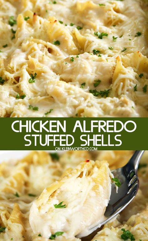 Chicken Alfredo Stuffed Shells is an easy dinner recipe made with rotisserie chicken, 3 kinds of cheese & alfredo sauce. Simple & quick to make, it’s a favorite. Pasta Casserole Dishes, Cheese Alfredo Sauce, Chicken Alfredo Stuffed Shells, Alfredo Stuffed Shells, Jumbo Shells, Easy Baked Spaghetti, Chicken Stuffed Shells, Chicken Ranch Pasta, Shells Recipe