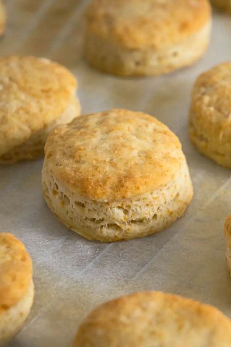 No Milk Biscuit Recipe Made With Just 5 Ingredients Biscuit Recipe No Yeast, Easy Biscuit Recipe No Milk, No Milk Biscuit Recipe, Milk Biscuit Recipe, Biscuit Recipe Without Milk, No Milk Biscuits, Easy Biscuit Recipe 3 Ingredients, Biscuit Recipe No Milk, Buscuit Recipe