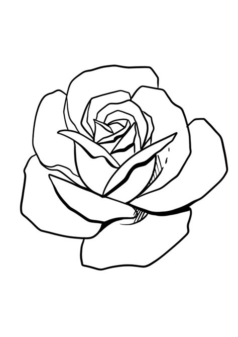 Tattoo Stencils Rose, Rose Outline Drawing, Rose Outline Tattoo, Tattoo Stencil Designs, Rose Tattoo Stencil, Single Rose Tattoos, Cute Flower Drawing, Rose Coloring, Rose Outline