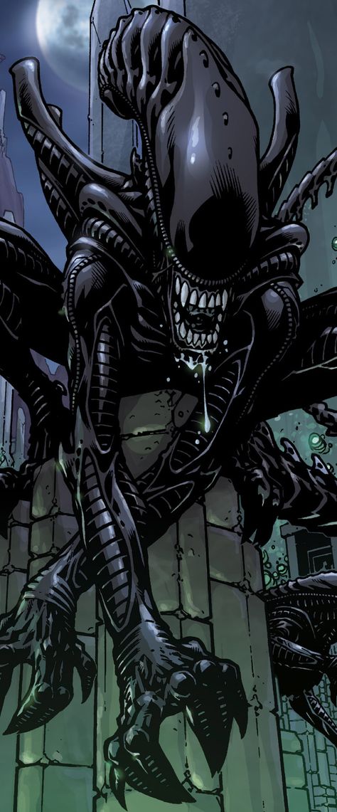 The Xenomorph from Aliens: More Than Human #Alien #Aliens #Xenomorph #MoreThanHuman #AliensMoreThanHuman Xenomorph Background, Alien Xenomorph Drawing, Xenomorph Icon, Alien Xenomorph Art, Xenomorph Comic, Xenomorph Pfp, Xenomorph Drawing, Alien Convenant, Xenomorph Art