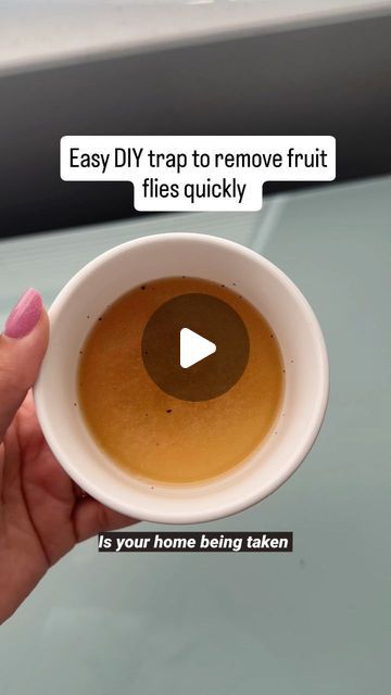 Homeaglow on Instagram: "Is your kitchen under attack from fruit flies? Use this hack to get rid of them fast. 

#fruitflies #fruitflytrap #cleaninghacks #cleaningtips #naturalbugcontrol #pestcontrol #naturalpestcontrol #cleaningtips #cleaningup" Fruit Flies How To Get Rid Of, Fruit Flies Get Rid Of Kitchens, How To Get Rid Of Fruit Flies Fast, Fruit Flies Get Rid Of, How To Get Rid Of Fruit Flies In House, Lion Sunset, Fruit Flies In House, Fruit Fly Trap Diy, Fruit Fly Trap