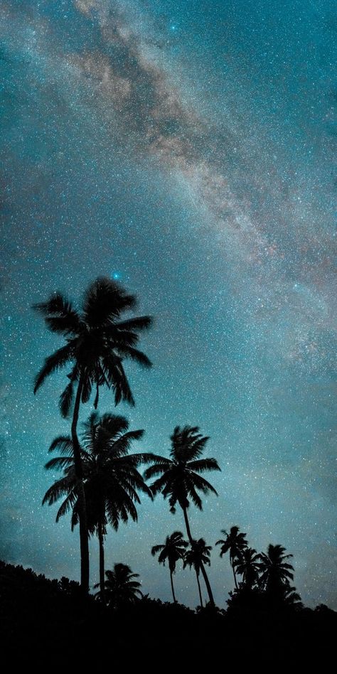 Night Mode Wallpaper, 4k High Quality Wallpaper, Palm Tree Iphone Wallpaper, Wallpaper Colourful, Wallpaper Diy Crafts, Hd Sky, Iphone Wallpaper 4k, High Quality Wallpaper, Palm Trees Wallpaper