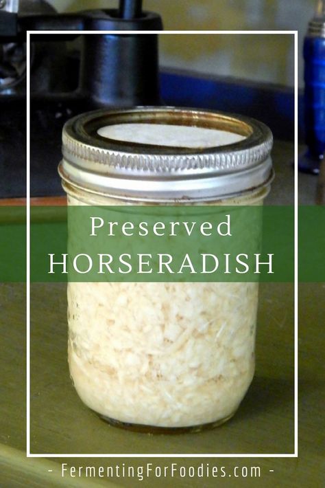 Homemade Horseradish Sauce, Homemade Horseradish, Horseradish Recipes, Preserving Vegetables, Sauce Cocktail, Fresh Horseradish, Prepared Horseradish, Fermentation Recipes, Horseradish Sauce