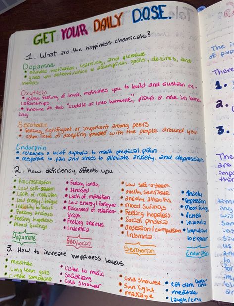 Short Term Dopamine, Dopa Menu Ideas, Dopamine Menu Bullet Journal, Endorphins Aesthetic, Dopamine Menu Ideas, Coping Journal, Notebook Fillers, Dopamine Aesthetic, Boost Dopamine