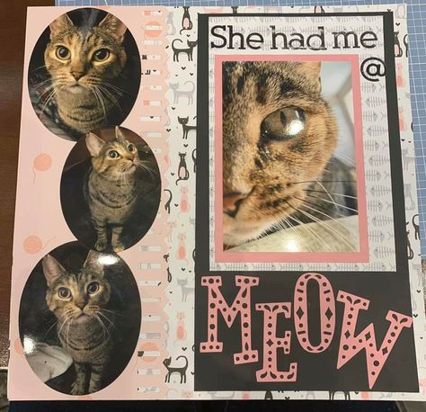 Pet Scrapbook Layouts Cats, Dog Scrapbook Layouts, Pet Scrapbook Layouts, Scrapbook Planning, Dog Scrapbook, Scrapbook Design Layout, Pet Scrapbook, Baby Boy Scrapbook, Simple Scrapbook