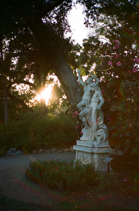 huntington library on film Huntington Library Wedding, Gardens Aesthetic, Huntington Gardens, Engagement Announcement Photos, Huntington Library, Favorite Albums, Engagement Photography Poses, Cute Engagement Photos, Library Wedding