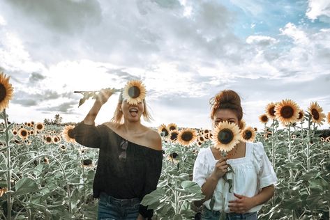 Bff Sunflower Photoshoot, Sunflower Field Photoshoot Sisters, Best Friend Photoshoot Sunflower Field, Best Friend Sunflower Photoshoot, Besties Photoshoot, Field Pics, Sunflower Photos, Sunflower Field Photography, Sunflower Field Pictures