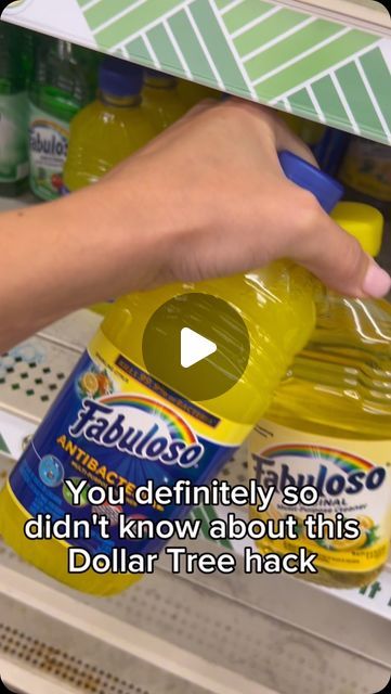 Kristina on Instagram: "These hacks will save you money thanks to Dollar Tree! #hack #dollartreehacks #dollartreefinds #LifeHack #savemoney #useful #foryoupage" Hacks For Organizing, Dollar Store Cleaning Hacks, Good2grow Hack, Zip Lock Bag Organization, Dollar Tree Car Hacks, Dollar Tree Cleaning, Easy Storage Hacks, Hacks For Home, Moving Hacks