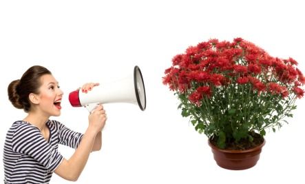 Talking To Plants, Maize Plant, Origin Of Species, User Story, People Standing Together, Small Greenhouse, Green Lifestyle, Healthy Environment, Growing Food