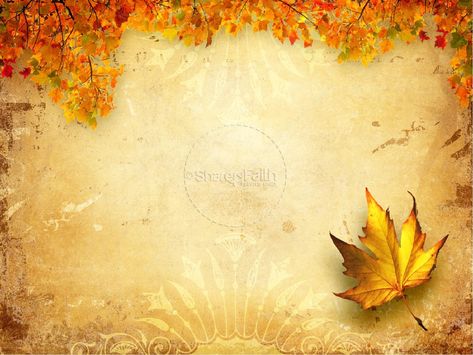 The amusing Fresh Pics Of Free Thanksgiving Powerpoint Templates Fall In Free Fall Powerpoint Templates pics below, is segment of … Fall Powerpoint Backgrounds, Background For Powerpoint Presentation Slide Design, Ppt Background Power Points, Autumn Template, Powerpoint Background Free, Autumn Backgrounds, Art Presentation, Powerpoint Background Templates, Background For Powerpoint Presentation