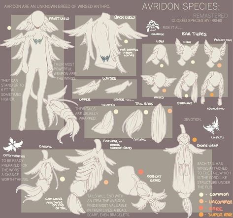 Fantasy Species Ideas, Closed Species Reference Sheet, Oc Species Ideas, Open Species Reference Sheet, Close Species, Fursona Species, Species Sheet, Species Ideas, Species Design