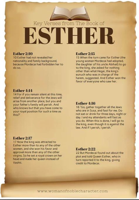 Key verses from the book of Esther Esther In Bible, The Book Of Esther Bible Study, Queen Esther Quotes, Book Of Esther Bible Studies, Esther Bible Verses, Esther Fasting And Prayer, Esther 4:14, Esther Quotes, Esther In The Bible