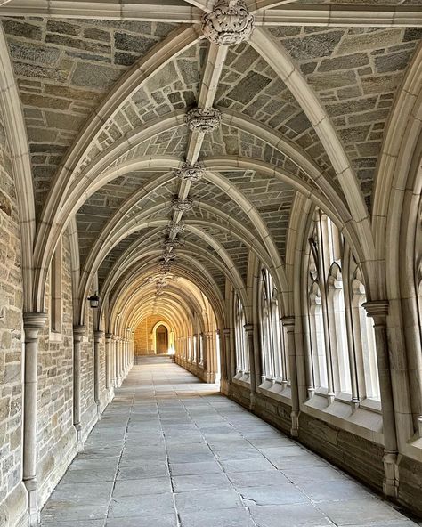 A long outdoor corridor with brown brick and cement arches Prinston University, Princeton University Dorms, Princeton Aesthetic, Princeton University Aesthetic, University Auditorium, Princeton Campus, Princeton University Campus, Academic Aesthetic, Lectures Room