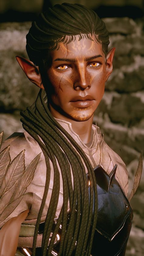 The face Dorian Pavus is obsessed with at Dragon Age: Inquisition Nexus - Mods and community Dragon Age 4, Dorian Pavus, Dragon Age Inquisition, Team Games, Games Images, Game Guide, Dragon Age, Fall 2024, The Face