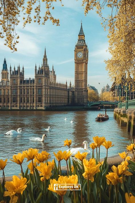 British Culture Aesthetic, United Kingdom Aesthetic, British Lifestyle, Green Scenery, Travel Vibes, England Photography, London Aesthetic, Beautiful Scenery Pictures, Scenery Photography