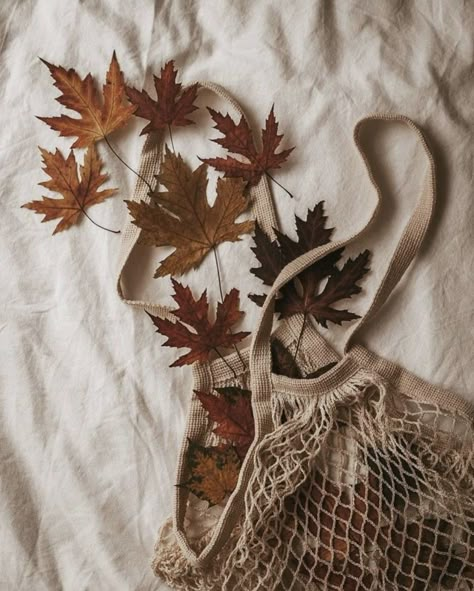 Autumn Flatlay, Fall Mood Board, Up Theme, Autumn Magic, Magazine Layout Design, Organic Colors, Creative Instagram Photo Ideas, Artist Life, Coffee And Books