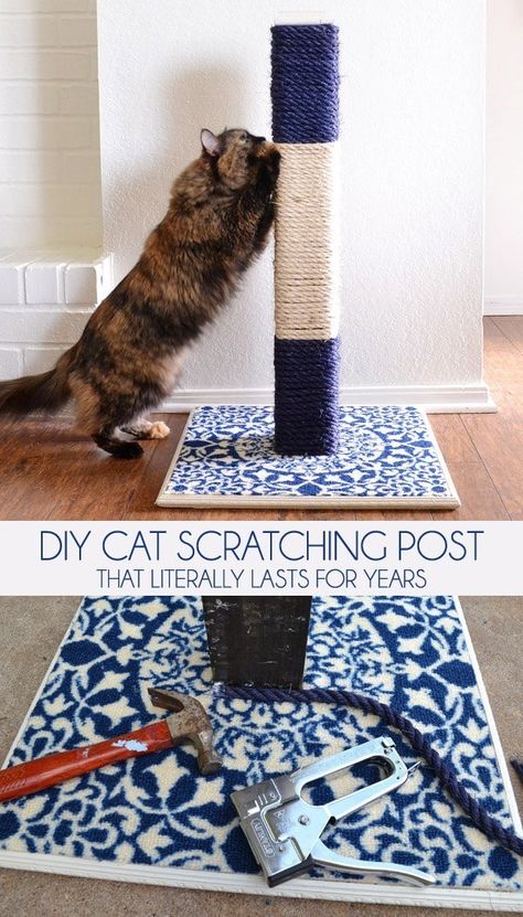 Diy Jouet Pour Chat, Diy Cat Scratching Post, Diy Cat Scratcher, Chat Diy, Katt Grejer, Diy Cat Tree, Diy Cat Toys, Cat Scratchers, Ideal Toys