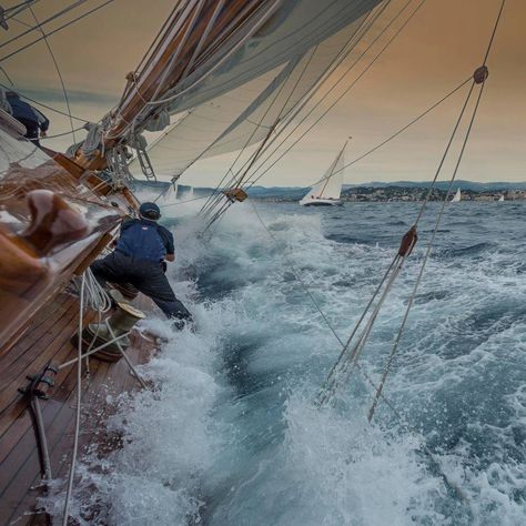 FoqueUno Sailing Photography, Cruise Italy, Classic Sailboat, Navi A Vela, Sailing Cruises, Classic Sailing, Classic Yachts, Sailing Vessel, Hold Fast